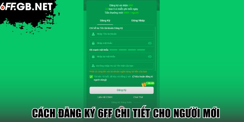 Cách đăng ký 6FF chi tiết cho người mới