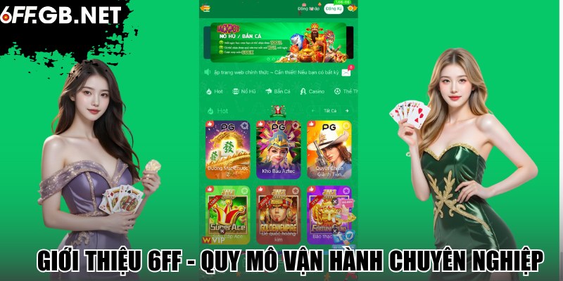 Giới thiệu 6FF - Quy mô vận hành chuyên nghiệp