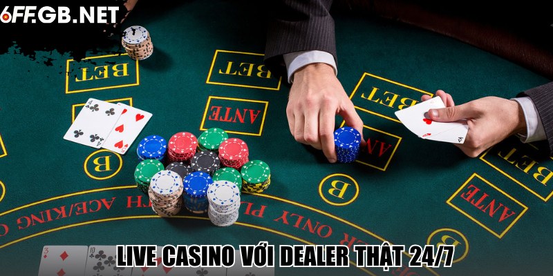 Live casino với dealer thật 24/7