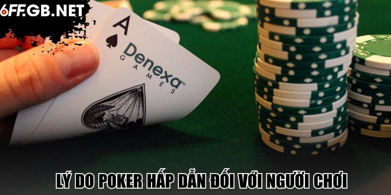Lý do Poker hấp dẫn đối với người chơi