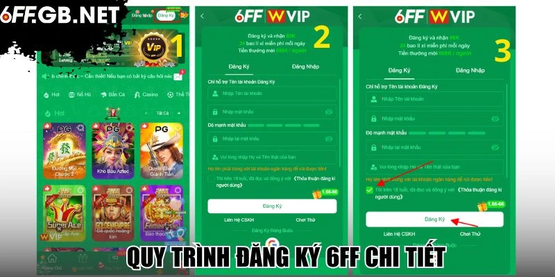 Quy trình đăng ký 6FF chi tiết